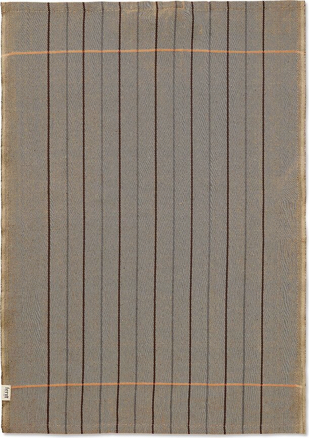 Ito Torchons de Cuisine, verts, Lot de 2