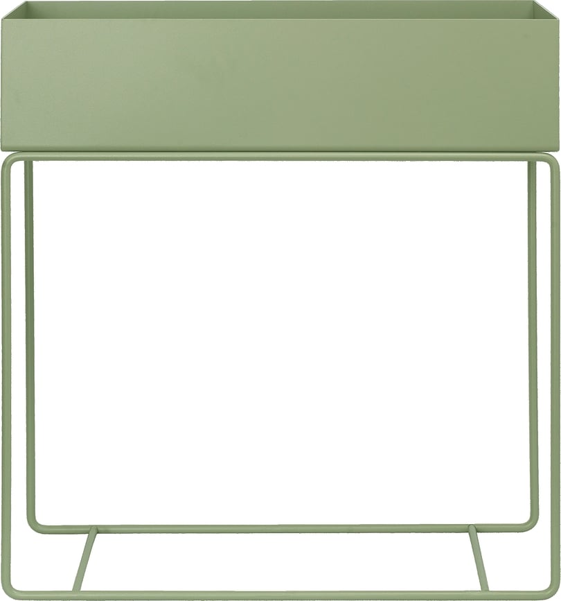 Plant Box Sadilica zeleni čaj