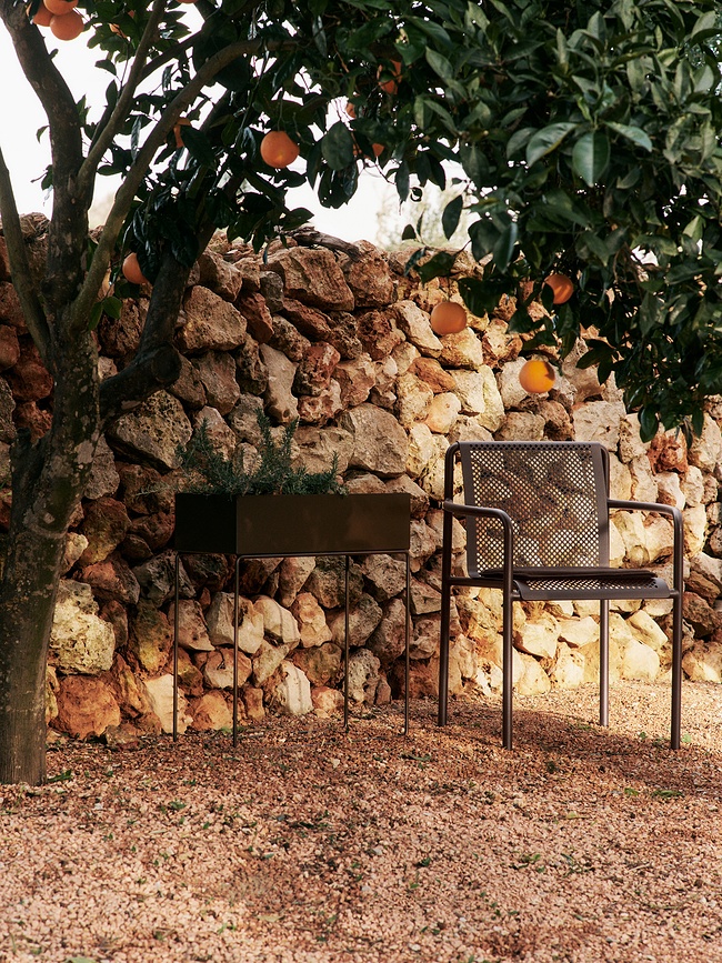 Plant Box Ζαρντινιέρα, σοκολατί