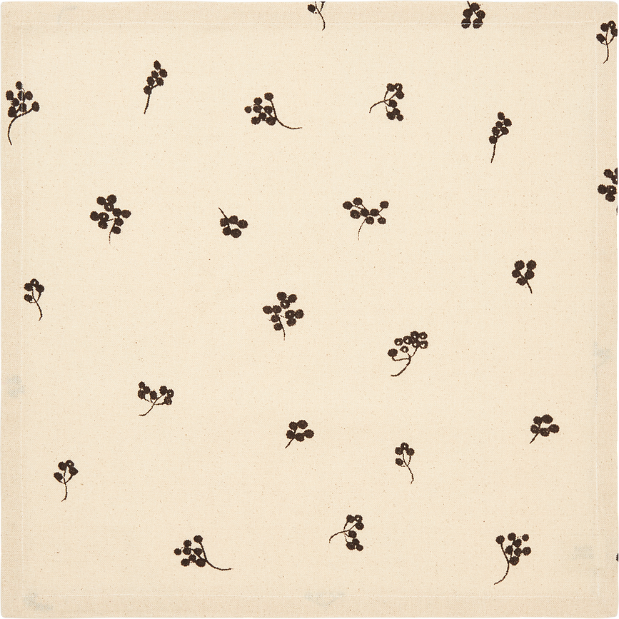 Servilletas de algodón Baies, claras, 4 unidades