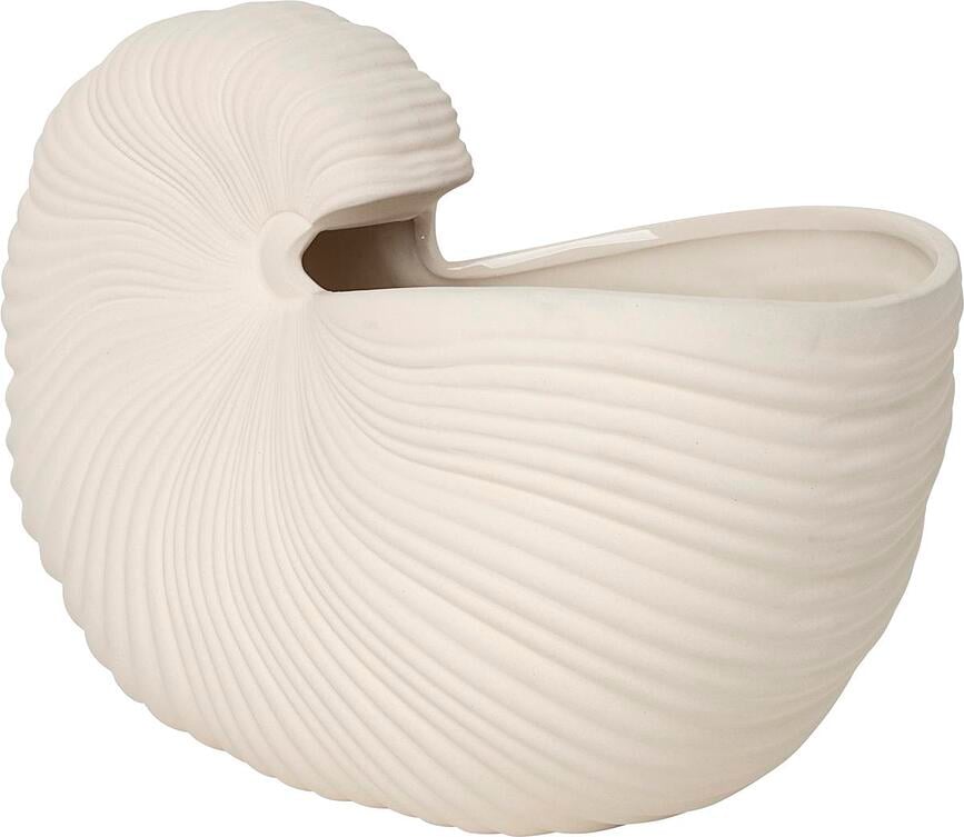 Shell Vase