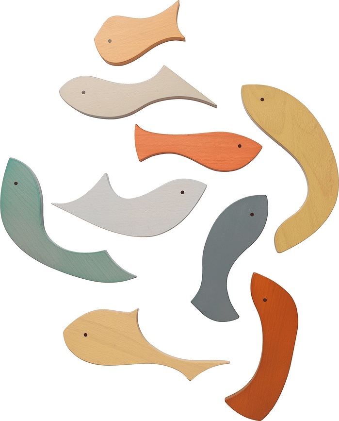 Shoal Lesene puzzle, ribe