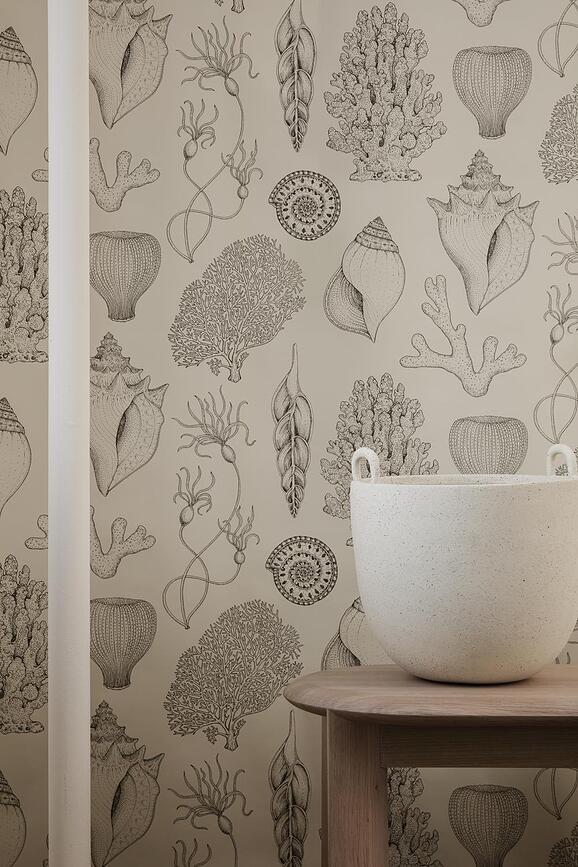 Speckle Lonček majhen