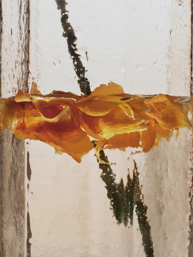 Verres Kiru 300 ml, lot de 2