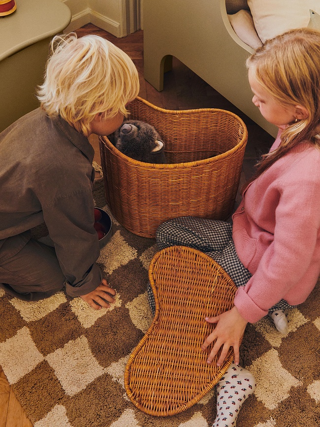 Willora Paniers de Rangement, Lot de 2