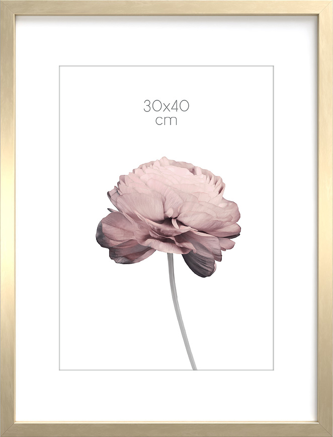 Prague Cadre Photo, 30 x 40 cm, champagne