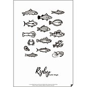 Plakat Follygraph ryby