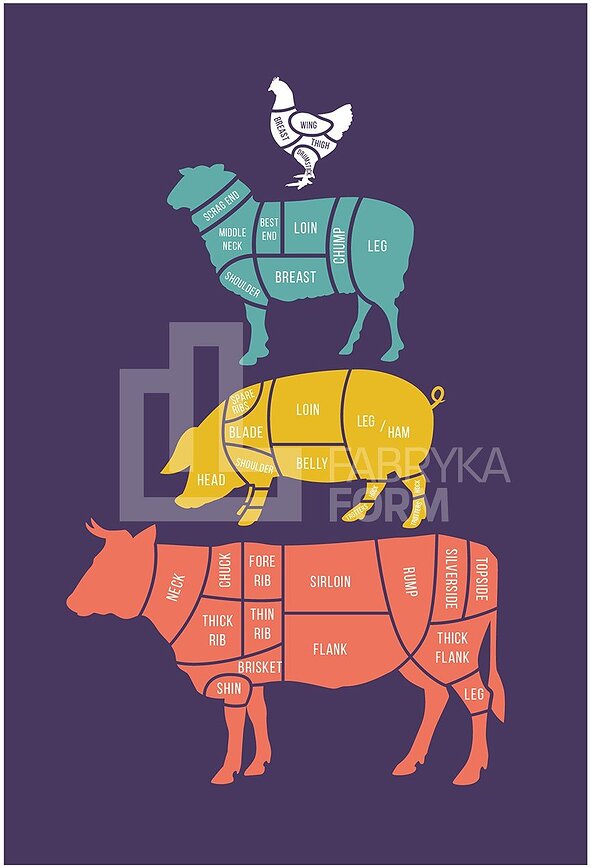 Плакат Meat Cuts, кольоровий