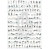 Plakat Yoga