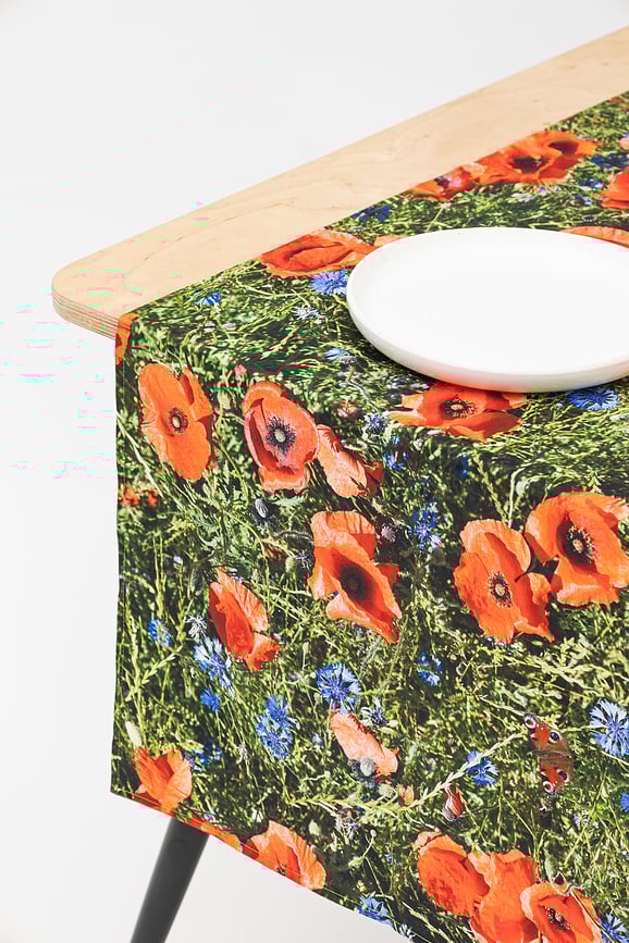 Camino de Mesa Hayka, diseño viñedo