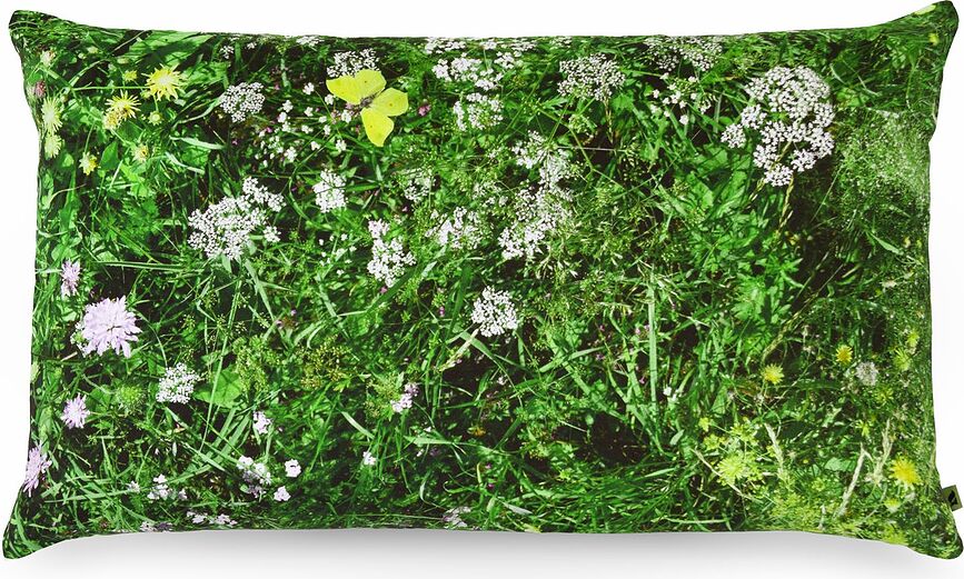 Foonka Coussin, 50 x 30 cm, remplissage en écales de sarrasin