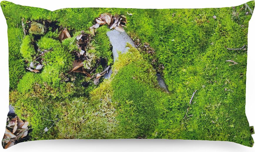 Foonka Coussin avec garnissage en balles de sarrasin, 50 x 30 cm, mousse