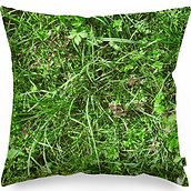 Foonka Pillow 40 x 40 cm alpine meadow with buckwheat husk filling