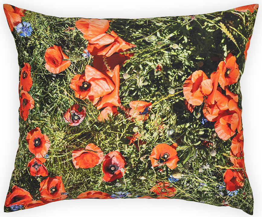 Funda de Almohada Hayka, 50 x 60 cm, estampado de amapolas