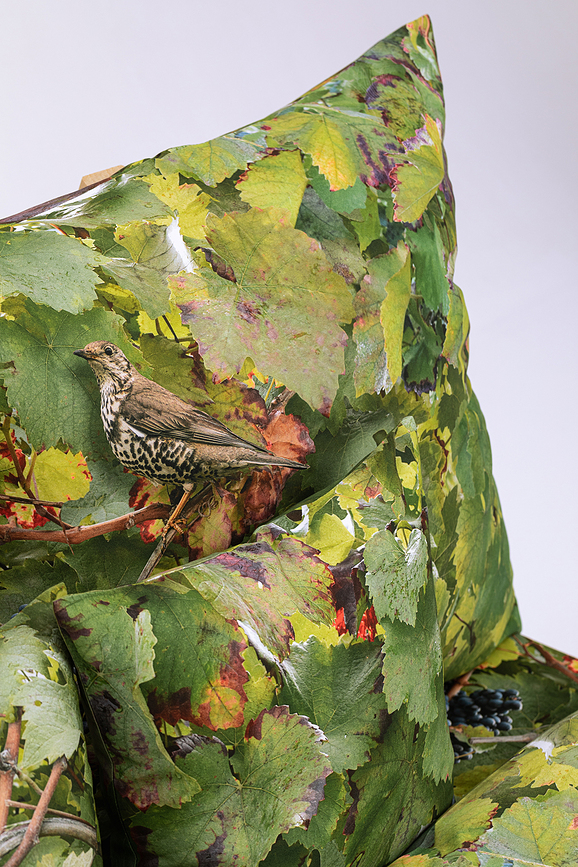 Funda de Cojín Hayka, 40 x 40 cm, estampado viñedo