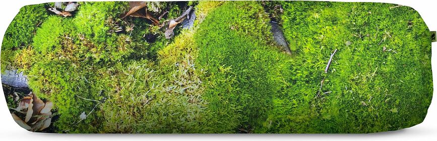 Funda de Cojín Hayka musgo, 50 x 15 cm