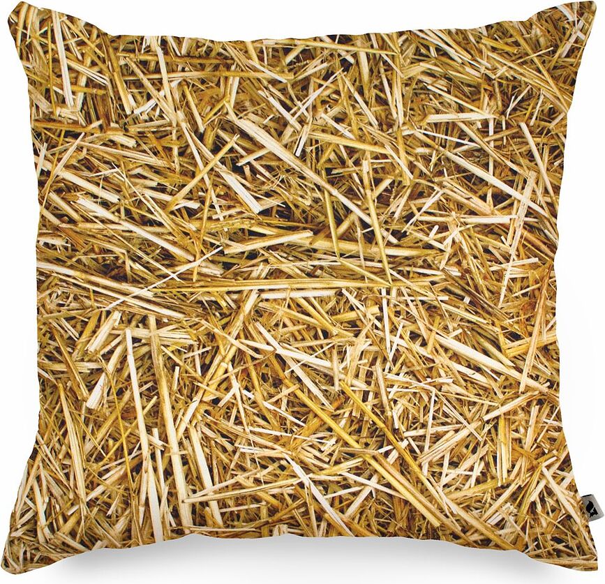 Hayka Housse de Coussin 40 x 40 cm, paille