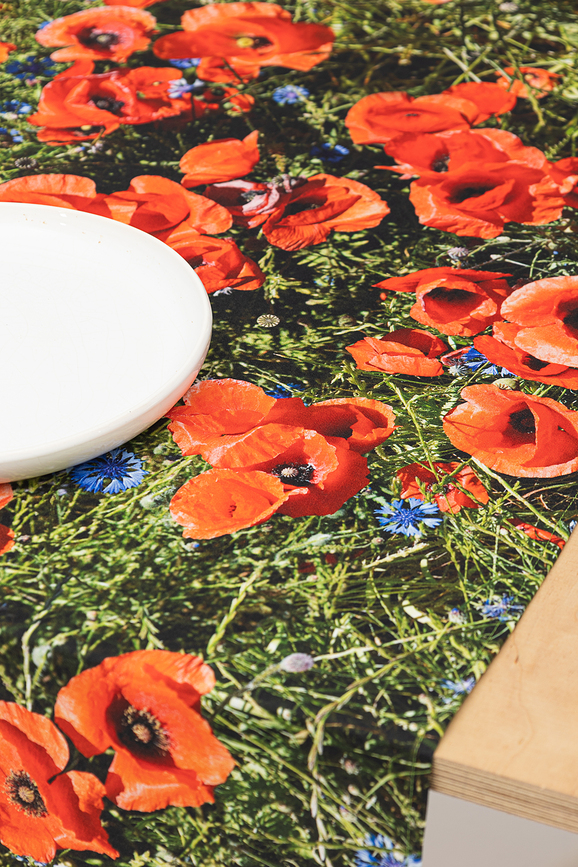 Hayka Stolni Trkač motiv vinograd