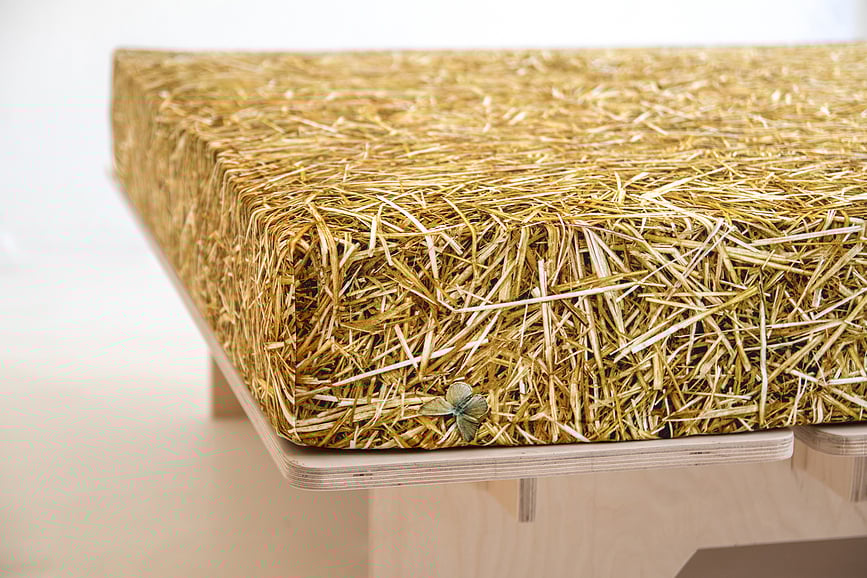 Hayka Napenjalna rjuha, 90 x 200 cm, slama