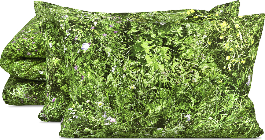 Hayka Parure de lit double, 200 x 200 cm, motif Prairie alpine