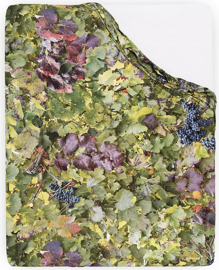 Hayka Plahta s gumicom vinska 200 x 200 cm