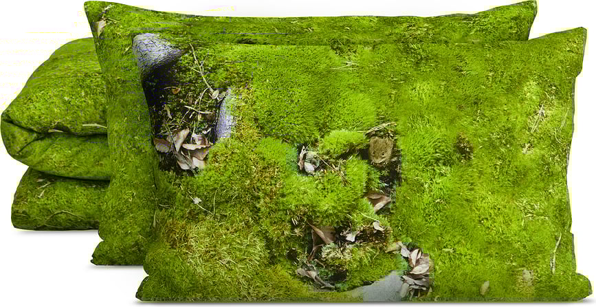 Hayka Posteljina 200 x 200 cm uzorak mahovine