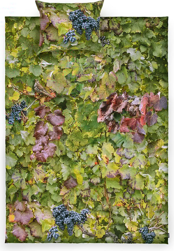 Hayka Posteljina motiv vinograd 150 x 200 cm s jastučnicom 70 x 80 cm