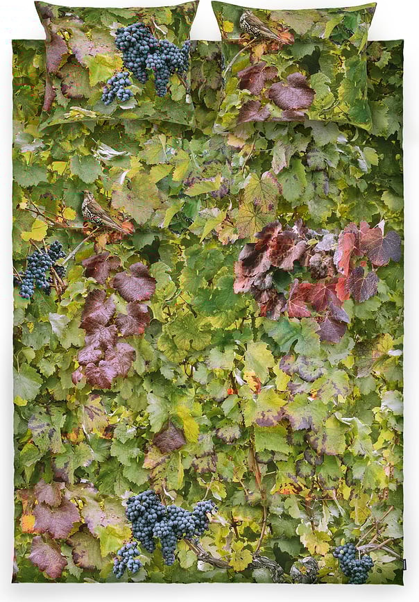 Hayka Posteljina uzorak vinograd 155 x 200 cm s 2 jastučnice 70 x 80 cm