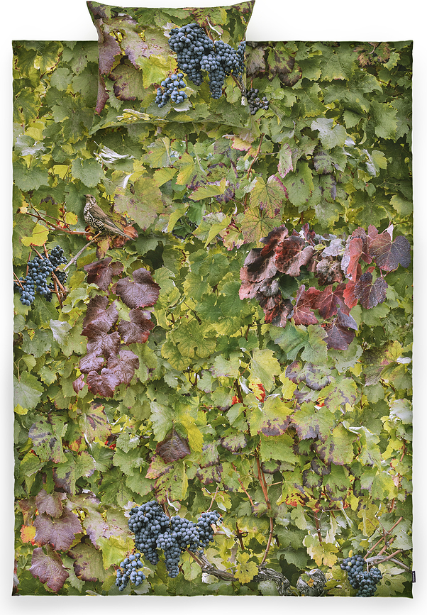 Hayka Posteljnina, vinska trta, 140 x 200 cm, enojna, z blazino 70 x 80 cm