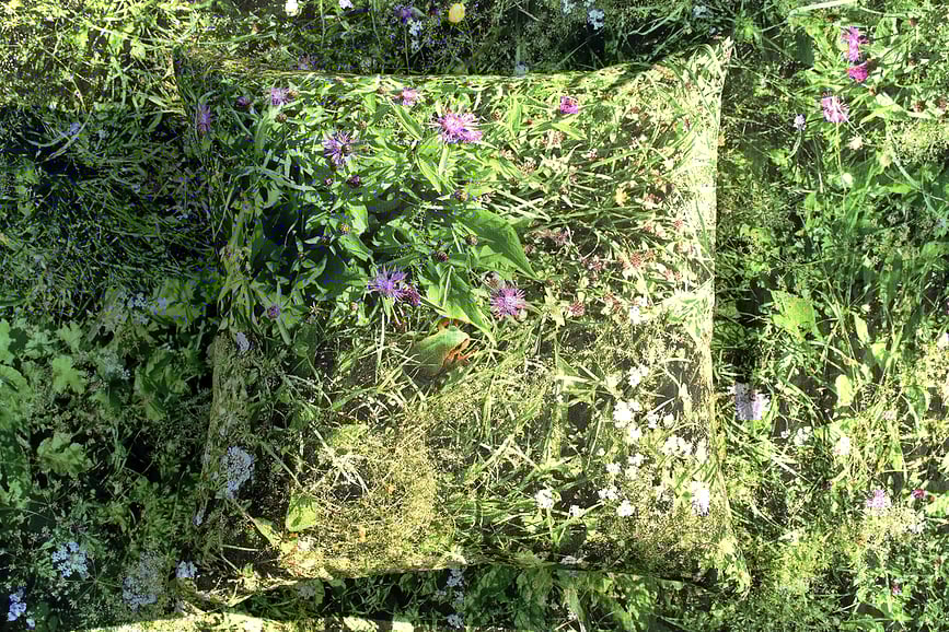 Hayka Prevleka za vzglavnik, alpski travnik, 40 x 40 cm