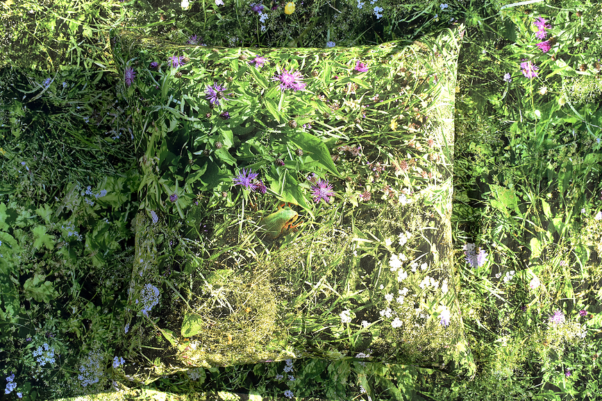 Hayka Housse de Coussin, 40 x 40 cm, motif prairie alpine