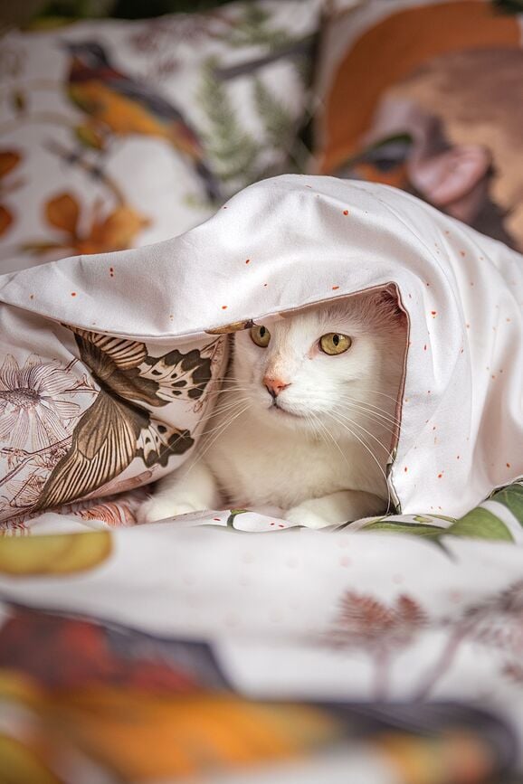 Liquid Memory Posteljina jednostruka 140 x 200 cm