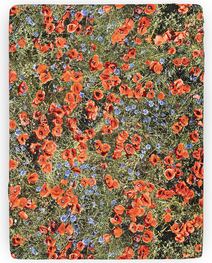 Sábana Bajera Hayka, 200 x 200 cm, con estampado de amapolas