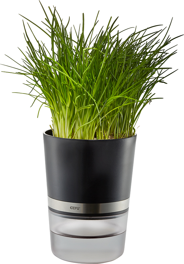 Botanico Γλάστρα για βότανα