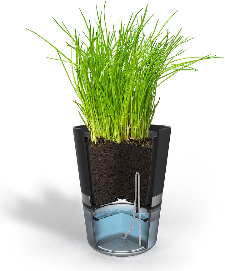 Botanico Pot à Herbes Aromatiques