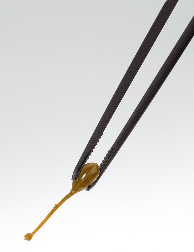 Piccolino Pince de Cuisine