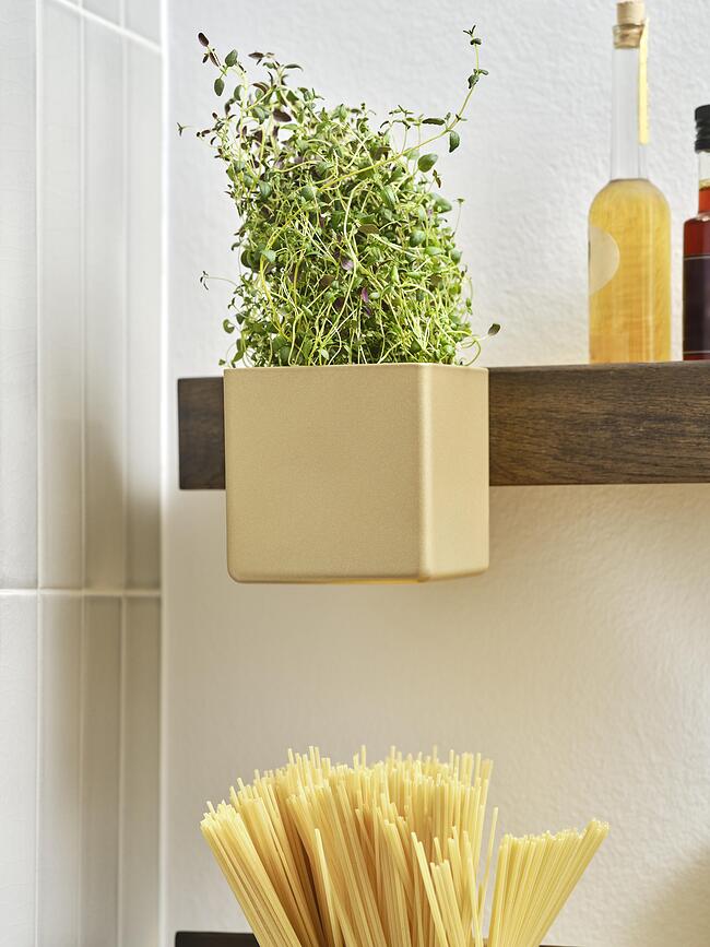 Contenedor de latón Flex, 10,5 cm, con gancho