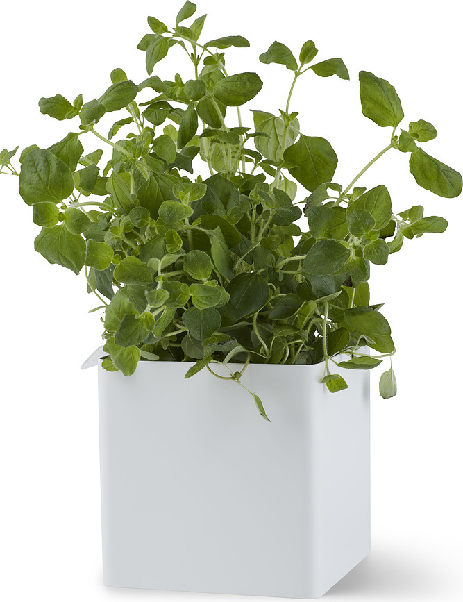 Contenedor de latón Flex, 10,5 cm, con gancho