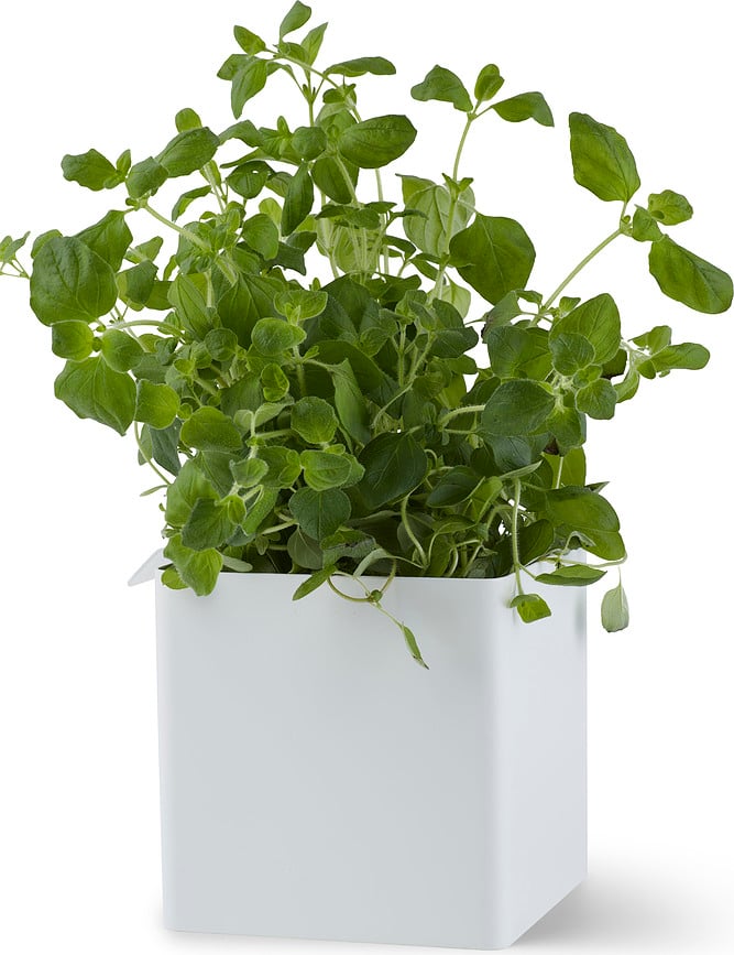 Flex Spremnik univerzalni s kukicom 10,5 cm mjedeni