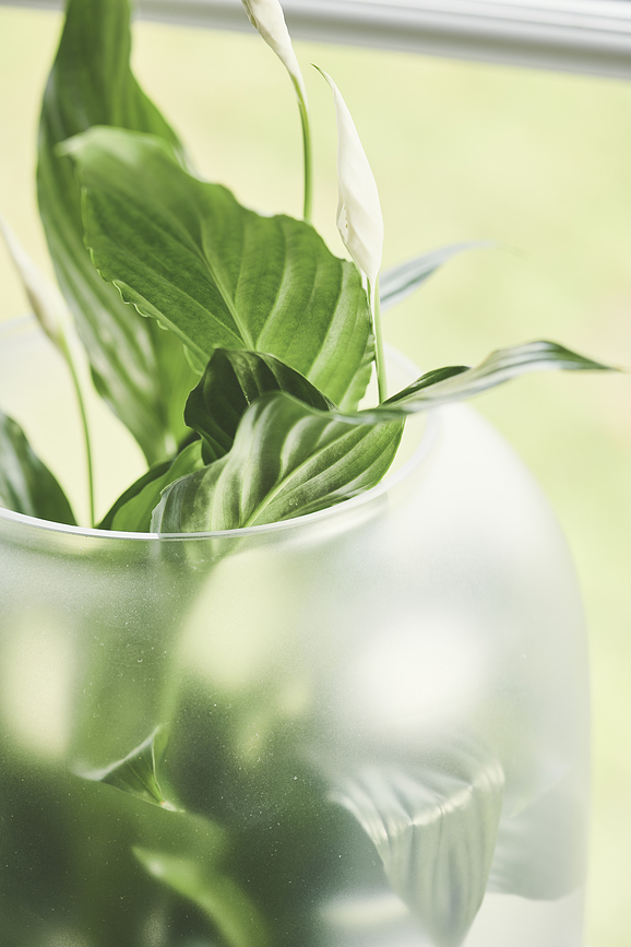 Nebl Pot de Fleurs 26 cm, gris