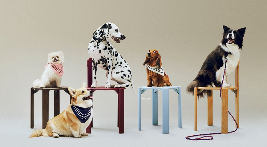 Bandana para Perro reciclada Hay, 55 x 55 cm, azul oscuro