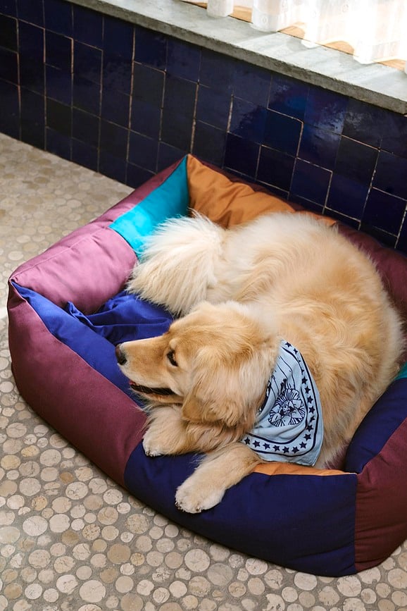 Cama para perro Hay M de colores