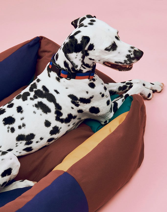 Cama para perro Hay M de colores