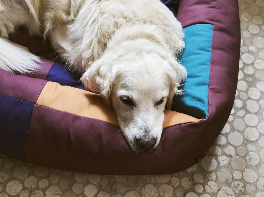 Cama para perro Hay S multicolor