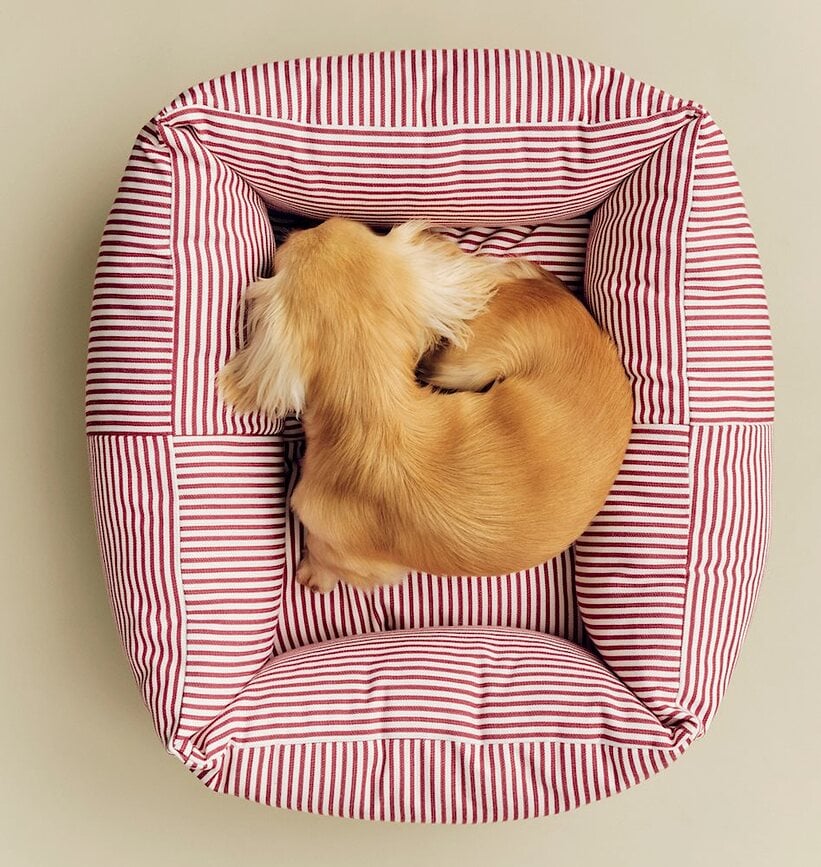 Cama para perro Hay Zip S, azul y blanca a rayas