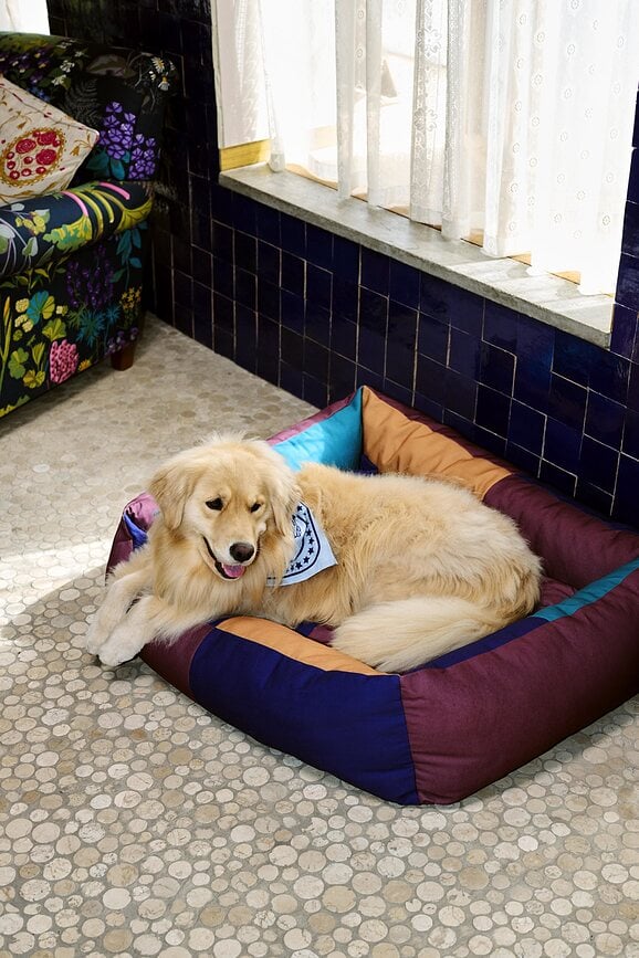 Cama para perro Hay, talla S