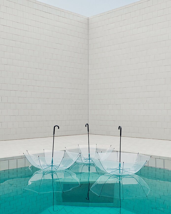 Canopy Dežnik prozoren