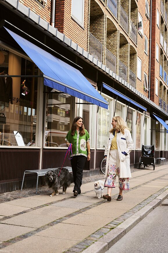 Correa para Perro Hay, verde y lavanda