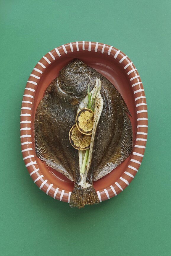 Fuente Barro, grande, marrón