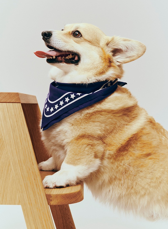 Hay Bandana pour Chien 55 x 55 cm, bleue foncée, recyclée